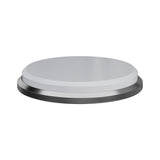 HORL Kagami Disc / Ultra Fine (For HORL 2) *