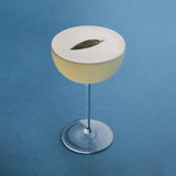 Richard Brendon Classic Coupe Glass / Set of 2