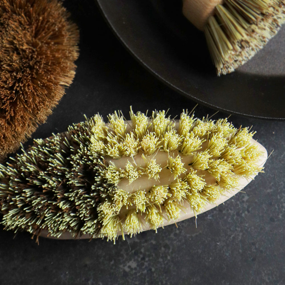 Vegetable Cleaning Brush