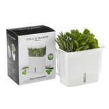 Cole & Mason Tealby Cut Herb Keeper