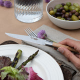 Laguiole en Aubrac 4-Piece Steak Knife Set / Juniper